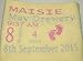 Babies Birth Details Keepsake Personalised Super Soft Fleece Blanket