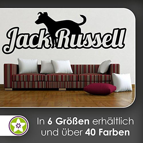 Kiwi Star Jack Russell with Name Font Outline Wall Stickers Wall Stickers Wall Sticker available in 6 Sizes, 90_silbergrau, 40 x 14 cm