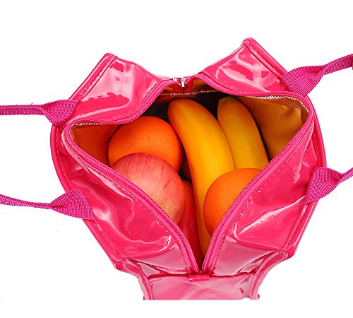 iSuperb Wasserdicht Kühltasche Mtagessen Tsche Isoliert Lunch Taschen Lunch Bag Cooler Bag für Arbeit und Schule 22x13x18.5cm (Rose) - 7
