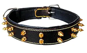 Skora Export Quality Genuine Leather Double Brass Spiked Dog Collar - 1.50 Inch (XL) - Black with Black Padding