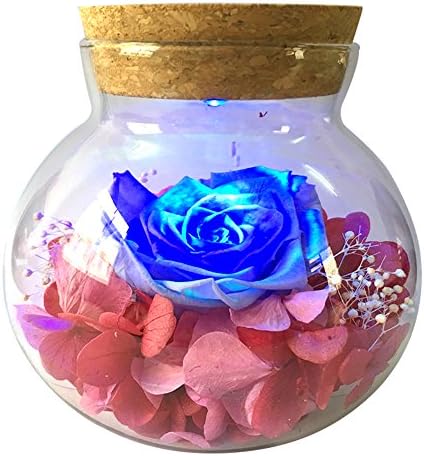 Jiuhuazi Eternal Flowers Wishing Bottle Preserved by Real Rose with Colorful led Mood light for Bedroom Party Table Decor Centerpieces Decorations Crafts Gifts for Birthday wedding Valentine's Day