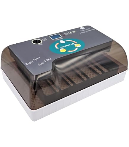 Couveuse Oeufs Automatique 12 Oeufs - Incubateur Avec Tournage Automatique, Affichage Numérique