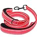 Produktbild 1pc 59in Doppel Dickes Nylon Reflektierende Hundeleine für große und mittlere Hund Hundeleine mit reflektierendem Zugseil Resistant Nylonhundeleine mit erhöhter Sicherheit für Nacht Gehen Pet Supplies (rot)