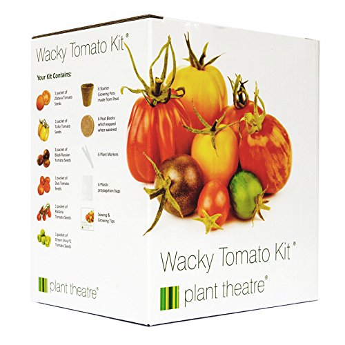 Plant Theatre Kit Wacky Tomatoes - 6 fantástico variedades para anbauen, un gran regalo