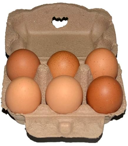 Zerodeko 50 Pezzi di Carta Cartoni per Uova per Uova di Gallina Fibra