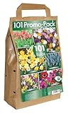 Greenbrokers Ltd Blumenzwiebel-Set, 6 verschiedene...