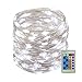 Produktbild Lichterkette Dimmbar Mit Fernbedienung, Wasserdichte Dekorative Lichter Für Schlafzimmer, Patio, Garten, Tor, Hof, Parteien, Hochzeit,Whitelight