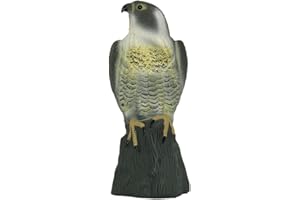Fulenyi águila Calva, simulada jardín Caza Cebo águila – Pequeño águila Falsa Hawk Decoy Estatua protección antipájaros para decoración al Aire Libre Falcon Garden Decor