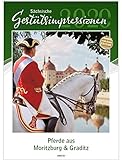 Sächsische Gestütsimpressionen 2020: Pferde aus Moritzburg & Graditz by