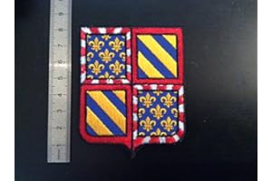 BLUE HAWAI ECUSSON PATCHES AUFNAHER TOPPA - BLASON REGION BOURGOGNE - THERMOCOLLANT