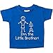 I'm The Little Brother Blue Tshirt Baby Toddler Kids Available in Sizes 0-6 Months to 14-15 Years New Baby Sister Gift