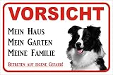 collie hundefutter hochwertiger Fotodruck AdriLeo Schild Vorsicht Border Collie Mein Haus 15x20 oder 20x30 (20x30cm)