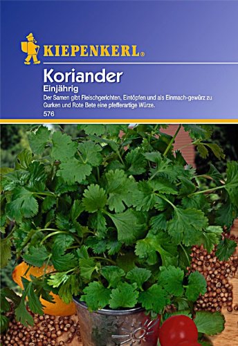 Sperli Gemüsesamen Koriander einjährig, grün