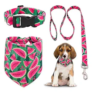 CiyvoLyeen Watermelon Dog Collar Bandana Leash Set for Small Medium Dogs Puppies Outdoor Training Walking Running
