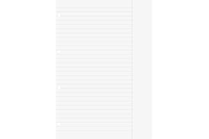 BRUNNEN Wkłady do segregatora | A4, w linie, z marginesem, białe, 100 arkuszy