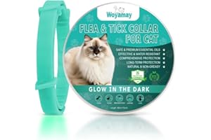 Woyamay Collare Antiparassitario per Gatti, Luminoso Collare Antipulci Gatto Impermeabile Elimina Pulci e Zecche Collare Gatto, Efficace Collare Antipulci per Gatti con Protezione di 8 Mesi, Azzurro