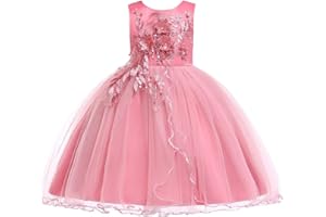 LENEFU Baby Girl Princess Bridesmaid Pageant Gown Birthday Party Wedding Dress Sleeveless Party Dresses Girl Clothes