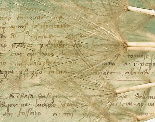 Papiertapete – Fototapete No.73 ‚DANDELION POETRY‘ 400x280cm Pusteblume Blumen , Größe:280cm x 400cm - 3