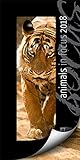 Animals in Focus 2018 by