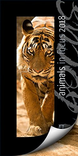 Animals in Focus 2018