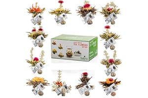 Tealyra - Blooming Flowering Tea Gift Box - 12 Variety Flavors of Finest Blooming Green Teas - 12 Quality Tea Balls Individually Sealed