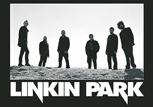 Preisvergleich Produktbild Linkin Park FLAGGE FAHNE POSTERFLAGGE BAND DESERT