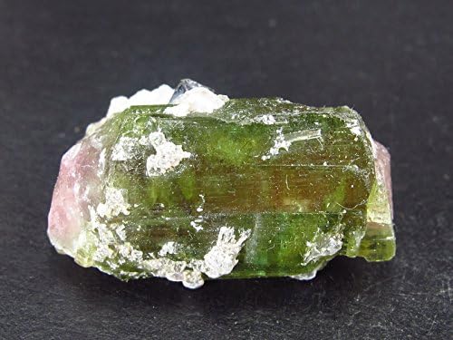 Watermelon Tourmaline Crystal From Brazil - 26 Carats - 2.3cm