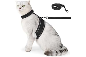 Set med kattsele och koppel, reflekterande nätjacka med D-format metallspänne för katter vid promenader, jogging och tränings