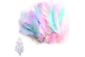 AUEFUDQ Plumas para Manualidades, 200 Unidades de Plumas de Colores, decoración de Plumas, Manualidades Indias, Tocado para niños, Accesorios para Manualidades, Pendientes, Bodas, atrapasueños