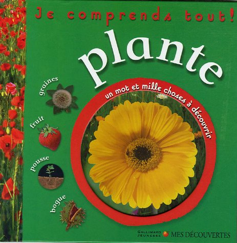 couverture de : Plante  Un mot et mille choses &agrave; d&eacute;couvrir