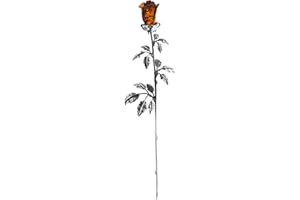 AMBEDORA Eternal Rose in argento 925 ossidato, rosa baltica intagliata a mano, grande rosa d'argento con testa d'ambra in colore cognac 15 cm 15 g