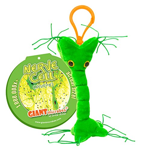GIANTmicrobes Keychain -Nerve Cell (Neuron) by Giant Microbes