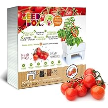 Amazon.es: KITS DE HUERTO URBANO - SeedBox