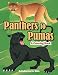 Produktbild Panthers to Pumas: A Coloring Book