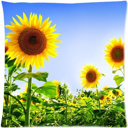 Sunflowers Custom 18x18 Inch Throw Cushion Cover Pillow Cases (Twin Sides)