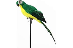 LWINGFLYER Artificial Parrot Foam Feather Parrot Macaw Bird Costume Epaulette Modern Home Garden Party Decoration (13.8"/35cm) (Green)