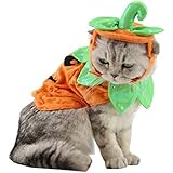 Yunt Halloween Kostüm Hundekostüm Katzenkostüm Kürbis Kostüm Katzen mit Verstellbarem Band aus Plüsch Süßer Schöner Haustierhut Kopfbedeckung Party Fest Kostüm Zubehör