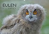  Eulen-Kalender (Wandkalender 2019 DIN A2 quer): Faszinierende Portraits und Flugaufnahmen europäischer Eulen (Monatskalender, 14 Seiten ) (CALVENDO Tiere)