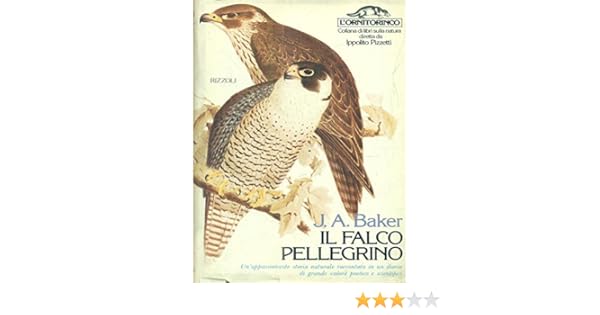 Amazonit Il Falco Pellegrino J A Baker Libri