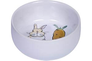 Nobby Nager Carrot Plus Gamelle en céramique Blanc Ø 11 cm x 4,5 cm 300 ML