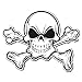 Produktbild 2 x Totenkopf Jolly Roger Knochen Vinyl Aufkleber Aufkleber Laptop Reise Gepäck Auto Ipad Schild Fun # 4011 - 25cm/250mm Wide