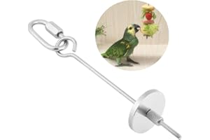 HEEPDD Brochette de Perroquet, Acier Inoxydable Perroquet Fruits Légumes Viande Alimentaire Porte-bâton Petit Animal Huche Cage Cage Foraging Toy Perroquets Traiter Outil [S] Gamelles