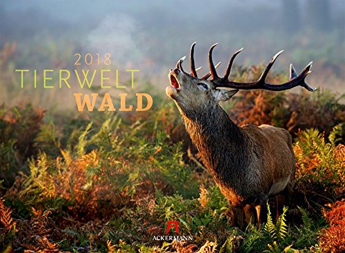 Tierwelt Wald 2018 (Tierwelten)