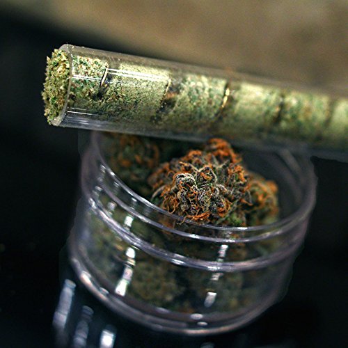 Twisty Glas Blunt, 7 Rohr Gold Farbe (mit Box inkl. Reinigungsbürste und Gummi Ende) - 5