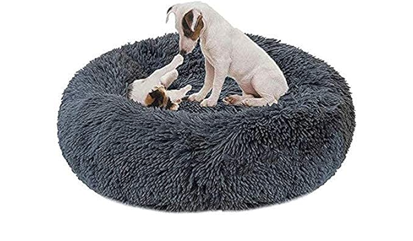 pet circle dog beds