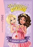 Princesses secrètes 01 - Le pendentif enchanté