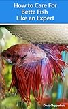 Image de How to Care for Betta Fish Like an Expert (Aquarium and Turtle Mastery Book 4) (English Edition)