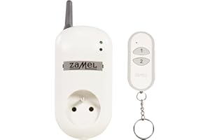 EXTA FREE RWG-01K pilot zdalnego sterowania z pilotem zdalnego sterowania.