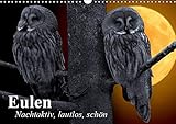  Eulen. Nachtaktiv, lautlos, schön (Wandkalender 2019 DIN A3 quer): Nachtaktive Schönheiten und lautlose Jäger (Monatskalender, 14 Seiten ) (CALVENDO Tiere)