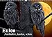 Eulen. Nachtaktiv, lautlos, schön (Wandkalender 2019 DIN A3 quer): Nachtaktive Schönheiten und lautlose Jäger (Monatskalender, 14 Seiten ) (CALVENDO Tiere) by 
